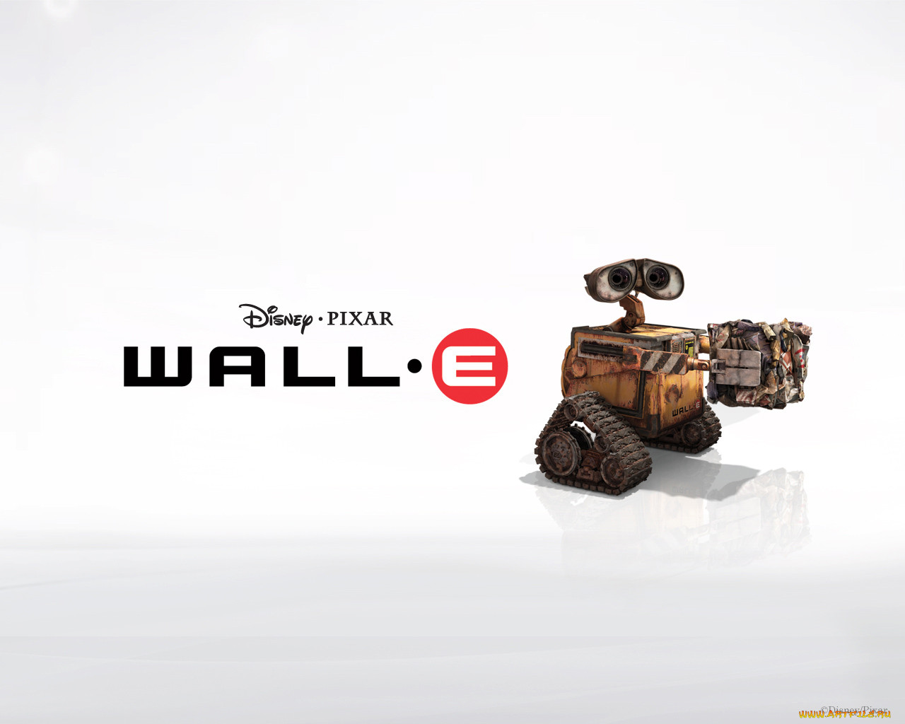 wall, 